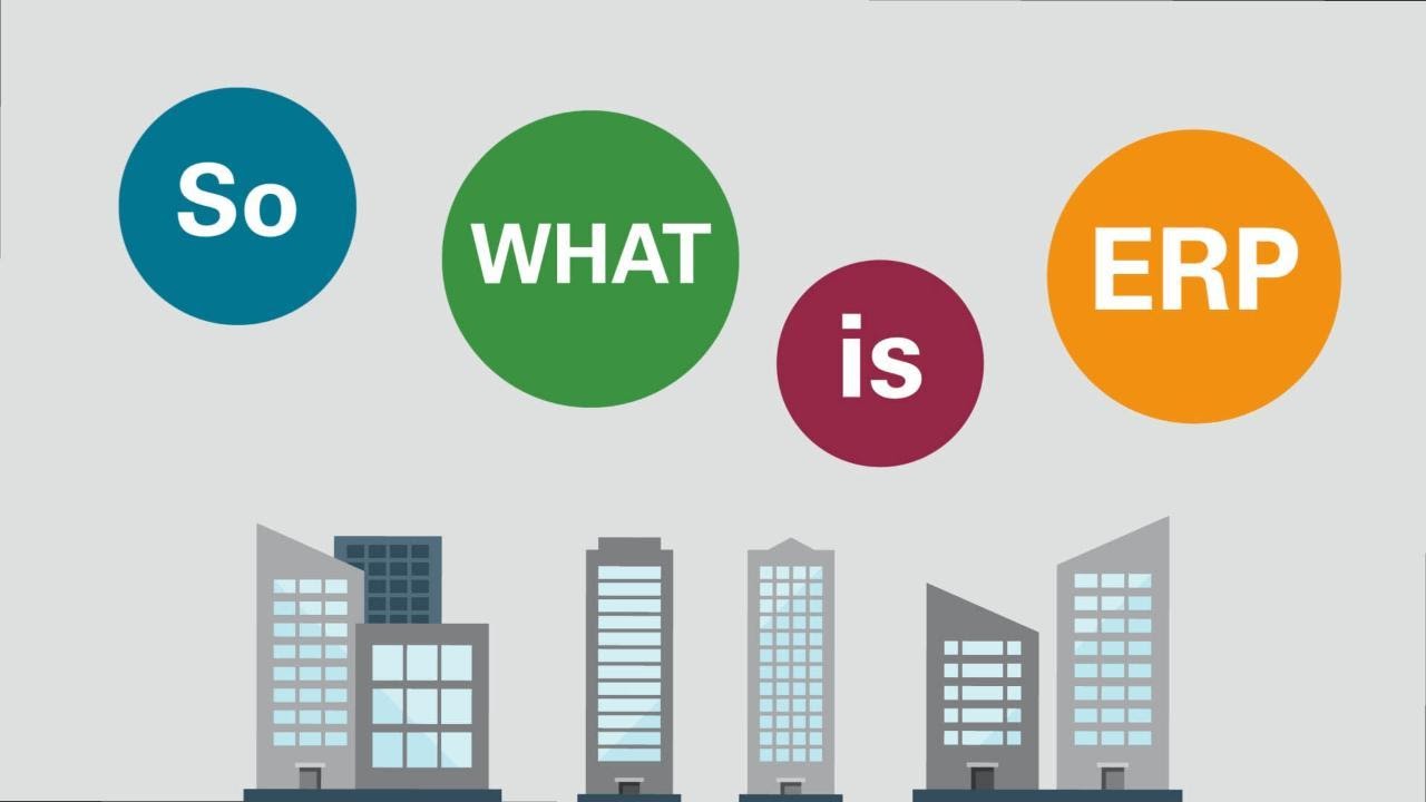 QUICK AND COMPREHENSIVE STEPS TO IMPLEMENT ERP SOFTWARE